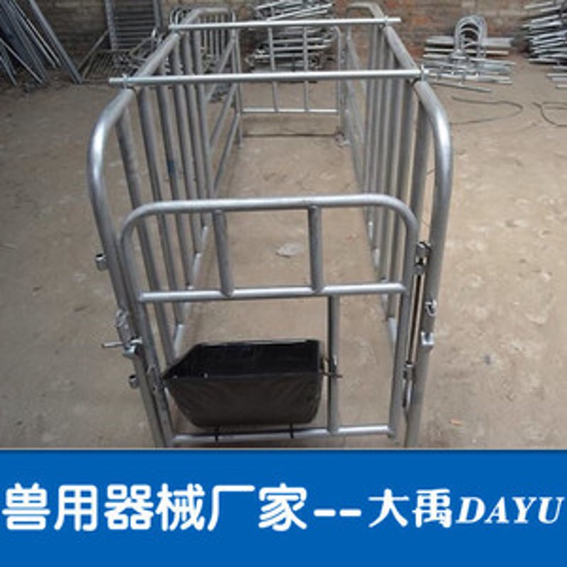 智慧养猪：母猪产床技术引领行业革新