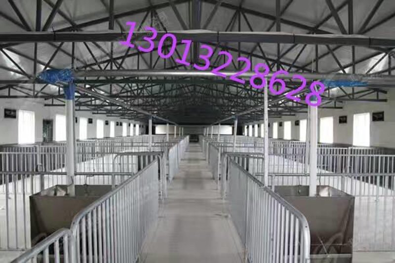 母猪产床：现代养殖业中的创新工具