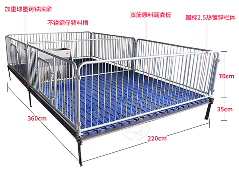 母猪定位栏在养猪行业的应用与优化探索